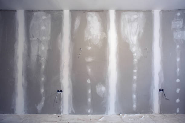 Professional Drywall & Painting Services in Esko, MN